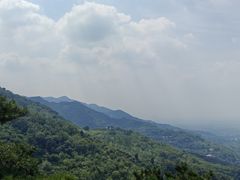 -王顺山国家森林公园