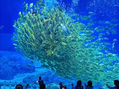 -长沙湘江欢乐雪域