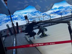 -Hopo Snow 城市滑雪空间(滨江宝龙城店)