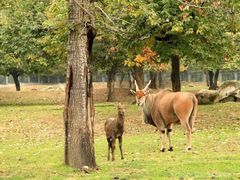 -西安秦岭野生动物园