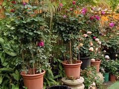 -园林美食城·本土农家菜(杨和镇店)