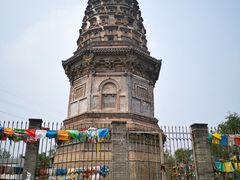 -云岗森林公园