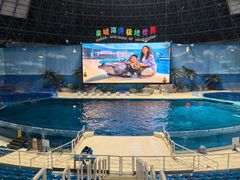 -泉城欧乐堡海洋极地世界
