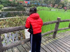 -成都市活水公园