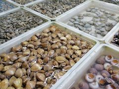 -三旗百汇商品城