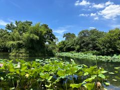 -西溪国家湿地公园