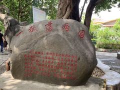 -瑞丽独树成林风景区