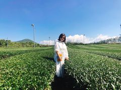 -雪绿茶博物馆