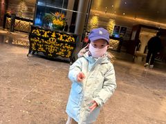 -北京朝阳悠唐皇冠假日酒店