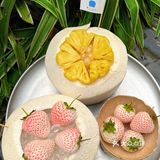 成都坠好吃的椰子冻🥥泰满足啦 