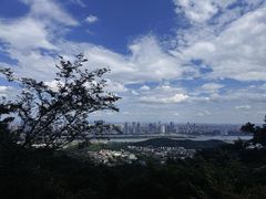 -茶颜悦色(岳麓山顶店)