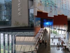 -四川大学博物馆