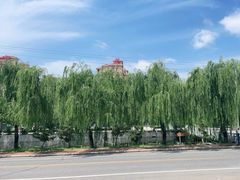 -龙口南山旅游景区
