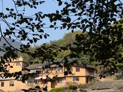 -杨家堂村