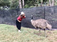 -可伦宾野生动物保护区