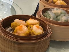 -美心皇宫(屯门大会堂店)