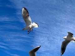 -丽江泸沽湖景区