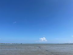 -硇洲岛旅游区