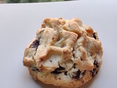 -CHOCMONS巧克怪兽(屏风街店)