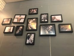 -明星刺青·洗纹身