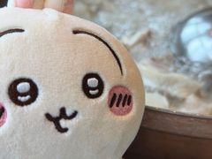 -润园四季椰子鸡火锅(南山海岸城店)