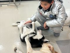 -共舞时光猫咖·狗咖(新街口店)