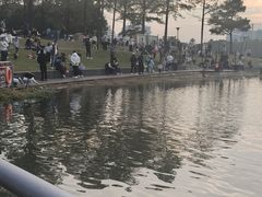 -美兰湖景区