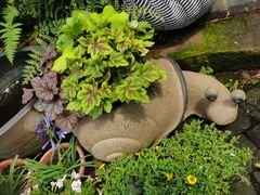 -桂林市花鸟市场