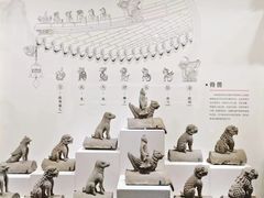 -四川大学博物馆