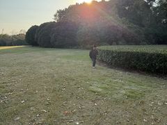 -自然谷恐龙园