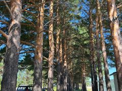 -北极村旅游风景区