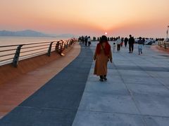 -演武大桥观景平台