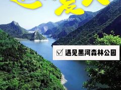 -黑河国家森林公园
