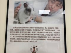 -美联众合动物医院·24h转诊中心