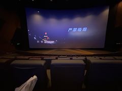 -金逸影城(大悦城IMAX激光店)