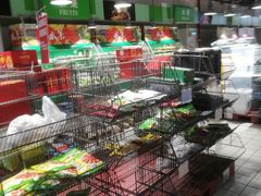 -家乐福(四元桥购物中心店)