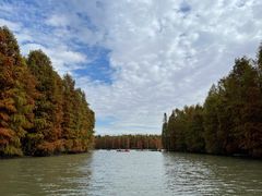 -上海海湾国家森林公园