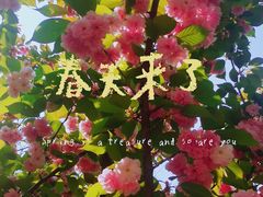 -丰台花园