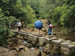 -广州白江湖森林公园