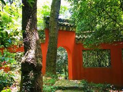 -灵谷景区