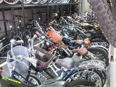 -道路口单车爱瓦士dahon大行