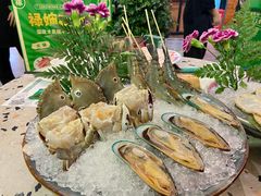 -禄婶鸡煲·打边炉