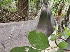 -连云港云龙涧原生态风景区