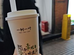-一树一叶·福建茶档(石鼓路店)