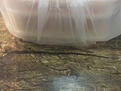 -翻滚吧!蛋炒饭·天津炒饭哥