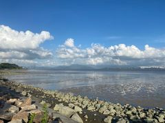 -深圳湾公园(南山区)