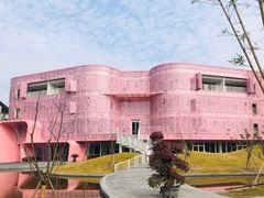 -杭州观成实验学校