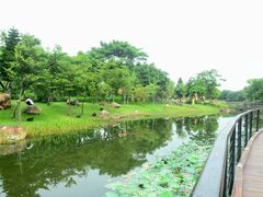 -映月湖公园