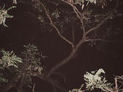 -LAMP BAR 水烟音乐酒吧