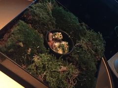 -地球美食剧场